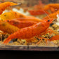 Blood Orange Shrimp image 2