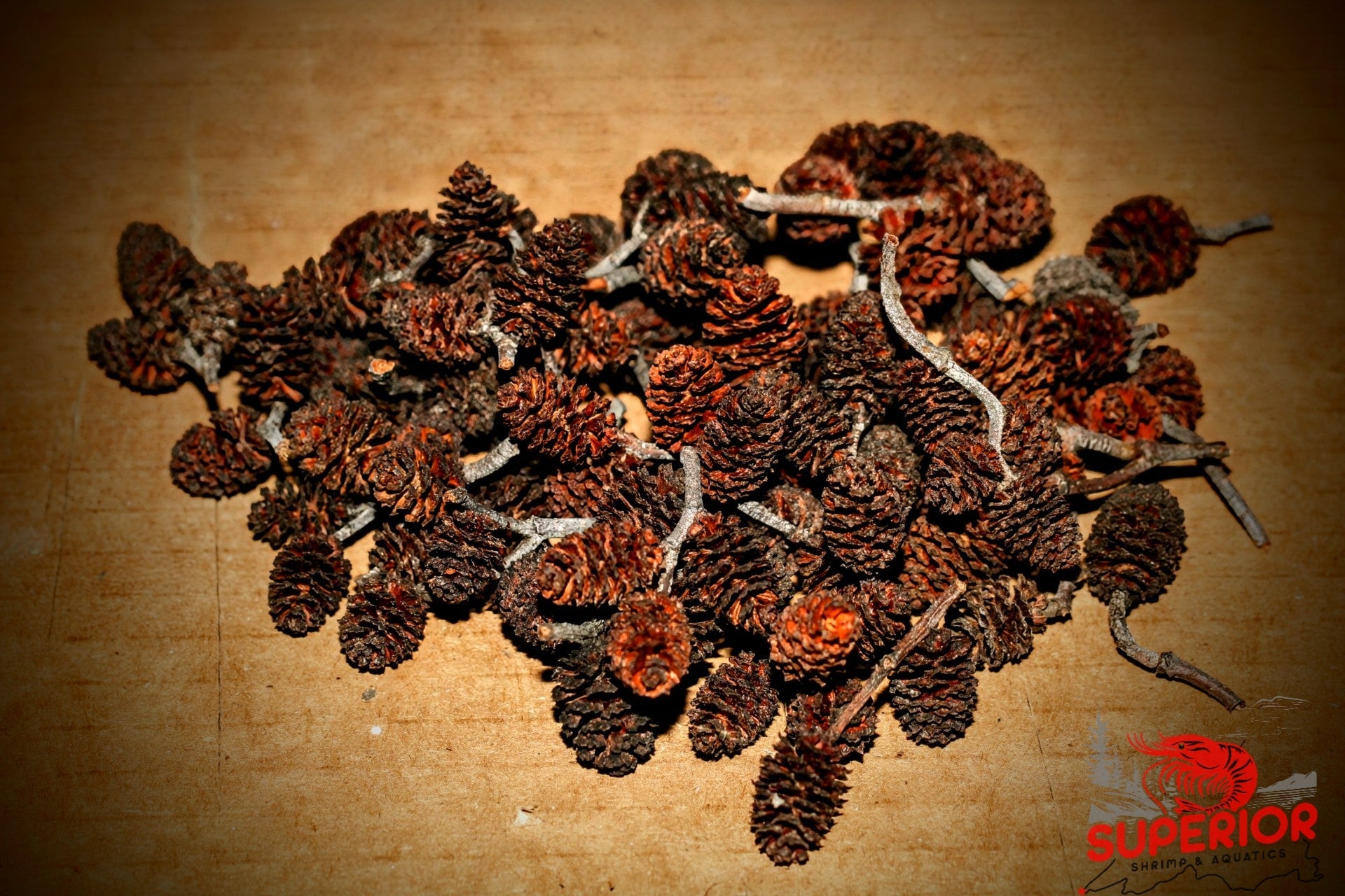 Alder Cones - Superior Shrimp & Aquatics