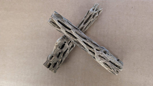 Cholla Wood image 0