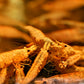 Golddust Shrimp - Superior Shrimp & Aquatics